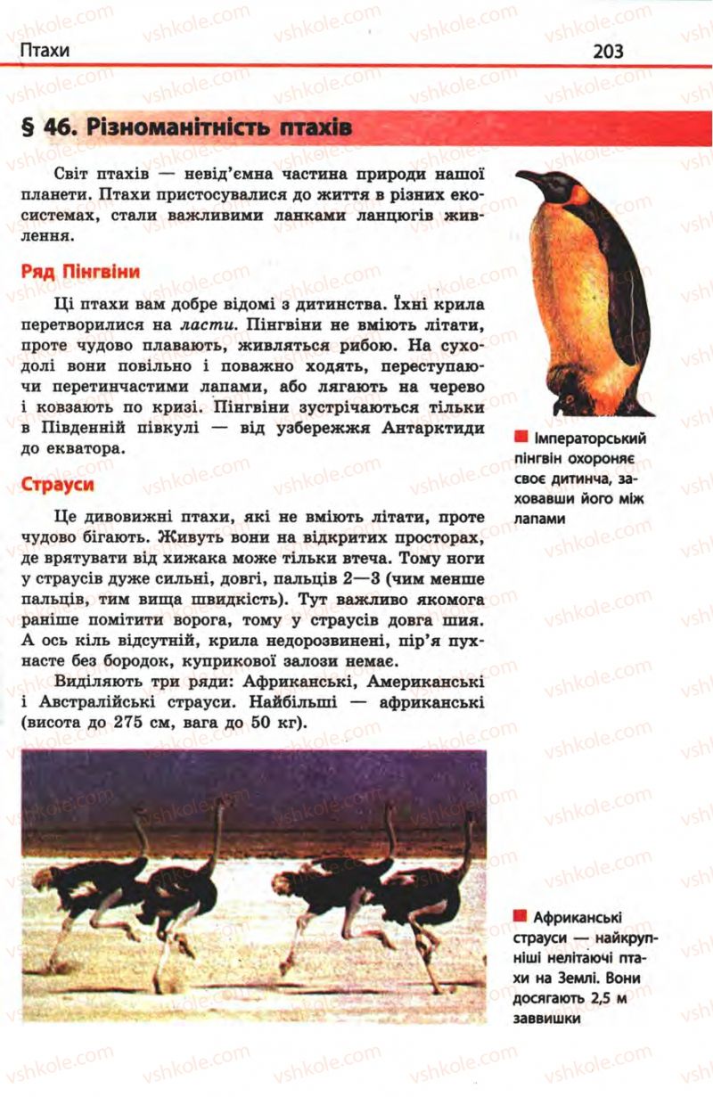 Страница 203 | Підручник Біологія 8 клас Н.В. Запорожець, С.В. Влащенко 2008