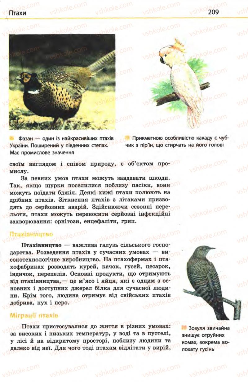 Страница 209 | Підручник Біологія 8 клас Н.В. Запорожець, С.В. Влащенко 2008