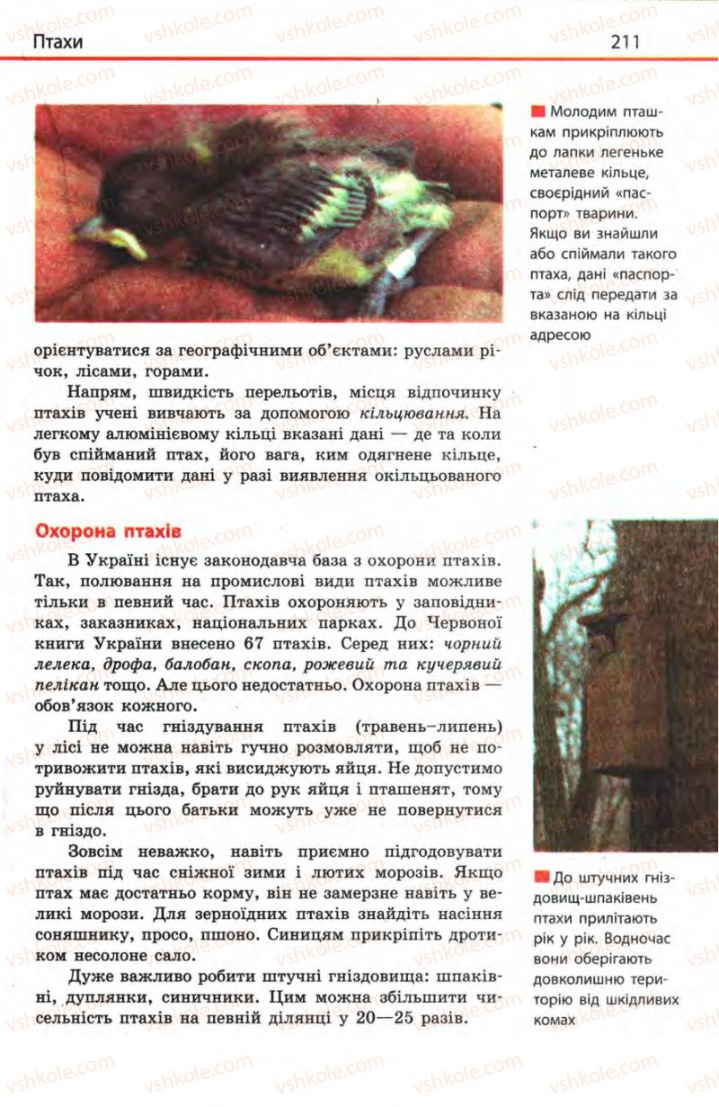 Страница 211 | Підручник Біологія 8 клас Н.В. Запорожець, С.В. Влащенко 2008