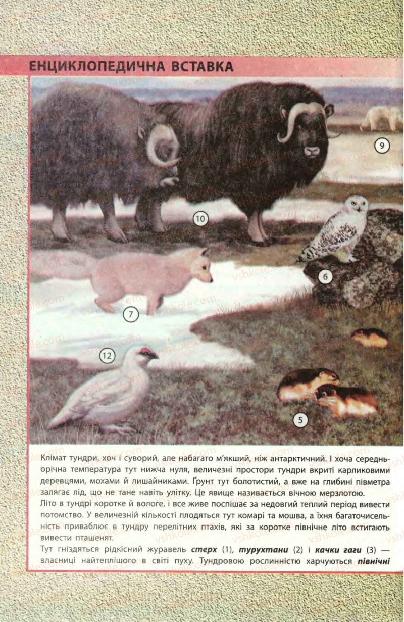 Страница 214 | Підручник Біологія 8 клас Н.В. Запорожець, С.В. Влащенко 2008