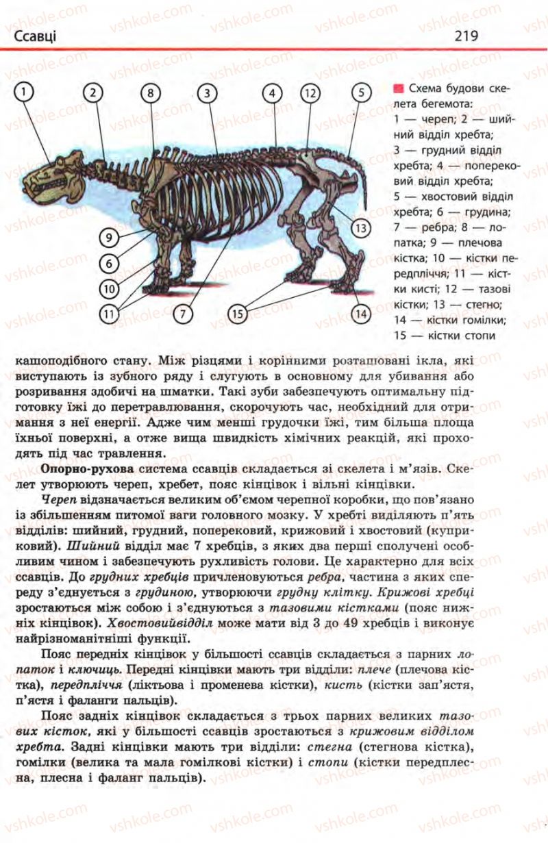 Страница 219 | Підручник Біологія 8 клас Н.В. Запорожець, С.В. Влащенко 2008