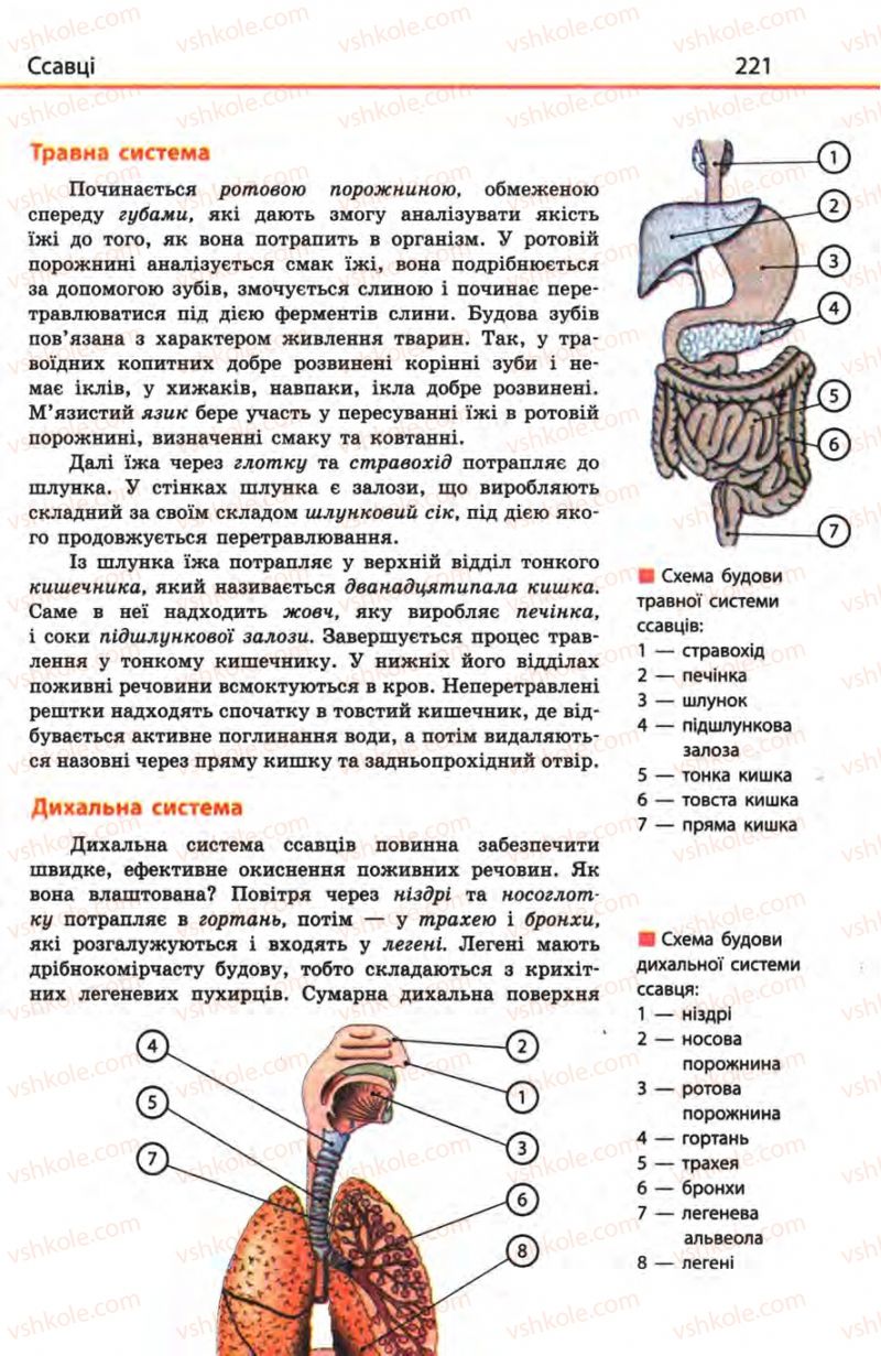 Страница 221 | Підручник Біологія 8 клас Н.В. Запорожець, С.В. Влащенко 2008