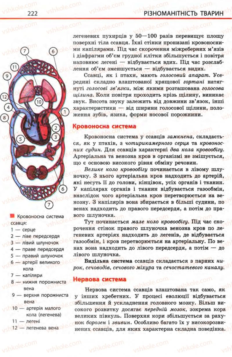 Страница 222 | Підручник Біологія 8 клас Н.В. Запорожець, С.В. Влащенко 2008