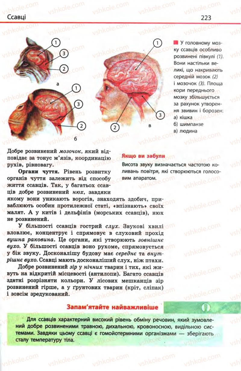 Страница 223 | Підручник Біологія 8 клас Н.В. Запорожець, С.В. Влащенко 2008
