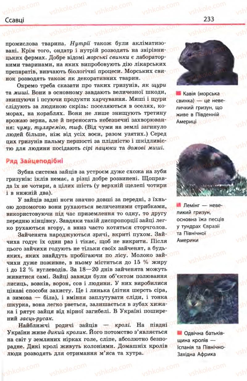 Страница 233 | Підручник Біологія 8 клас Н.В. Запорожець, С.В. Влащенко 2008
