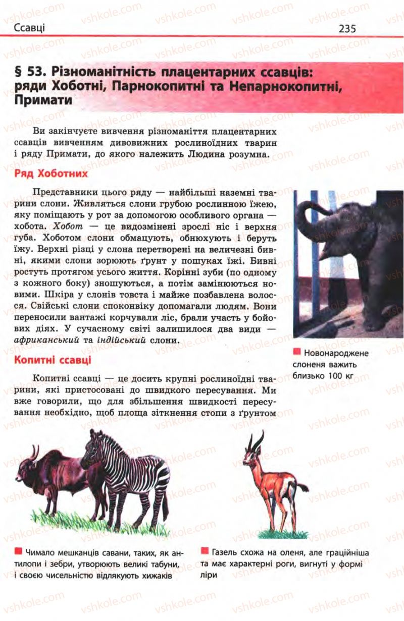 Страница 235 | Підручник Біологія 8 клас Н.В. Запорожець, С.В. Влащенко 2008