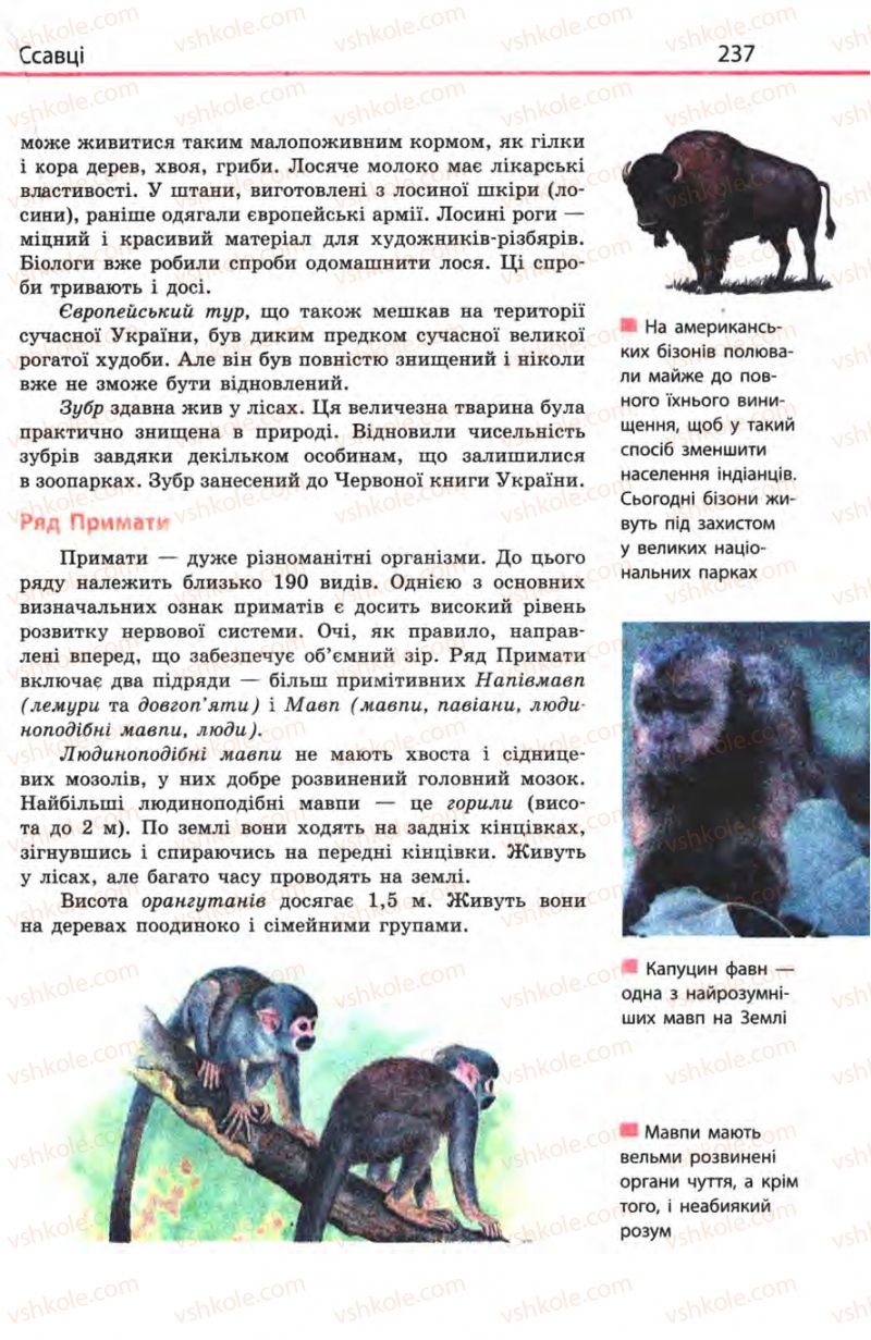 Страница 237 | Підручник Біологія 8 клас Н.В. Запорожець, С.В. Влащенко 2008