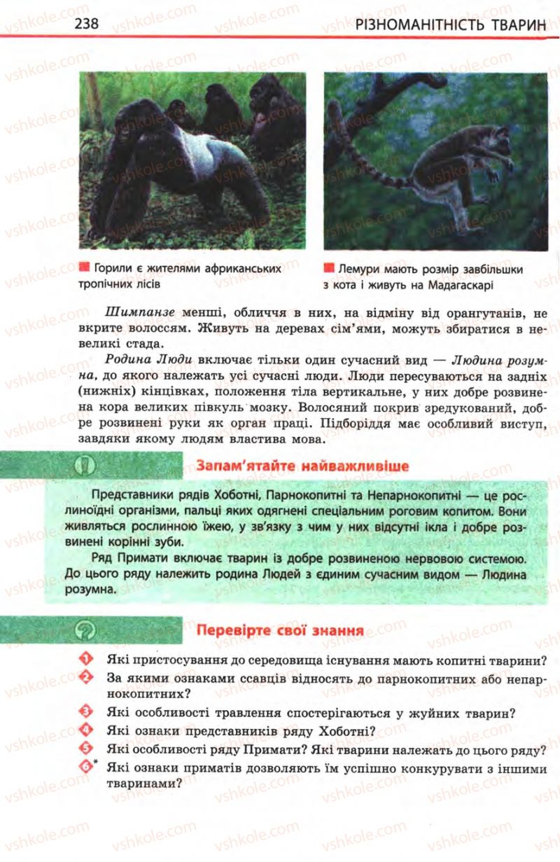Страница 238 | Підручник Біологія 8 клас Н.В. Запорожець, С.В. Влащенко 2008