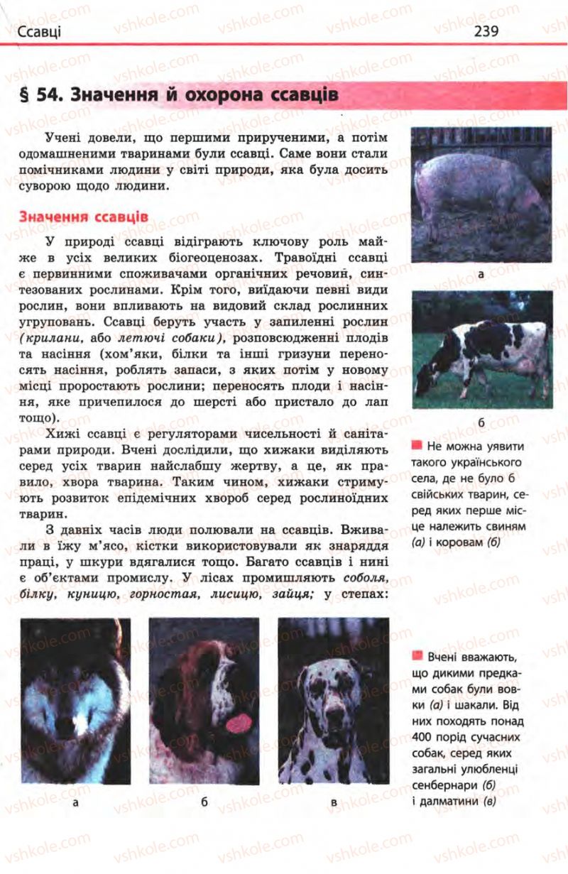 Страница 239 | Підручник Біологія 8 клас Н.В. Запорожець, С.В. Влащенко 2008
