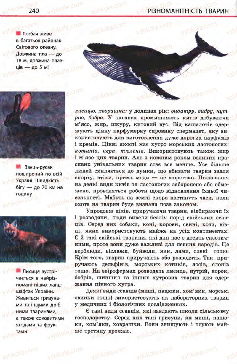 Страница 240 | Підручник Біологія 8 клас Н.В. Запорожець, С.В. Влащенко 2008