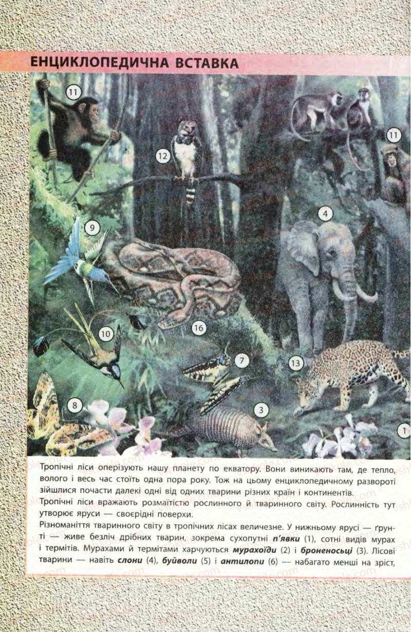 Страница 244 | Підручник Біологія 8 клас Н.В. Запорожець, С.В. Влащенко 2008