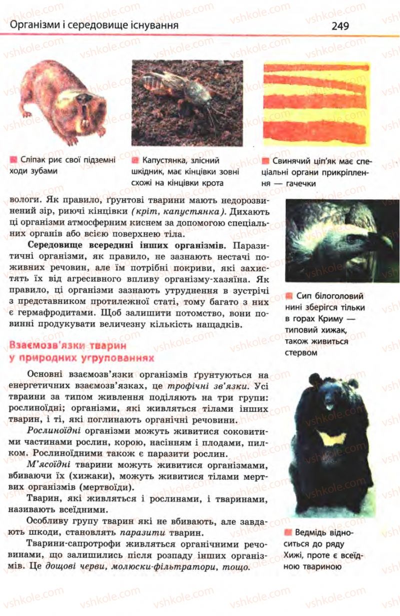 Страница 249 | Підручник Біологія 8 клас Н.В. Запорожець, С.В. Влащенко 2008