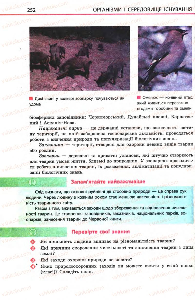 Страница 252 | Підручник Біологія 8 клас Н.В. Запорожець, С.В. Влащенко 2008