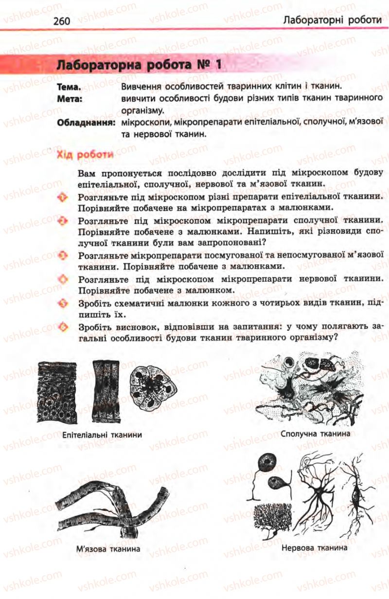 Страница 260 | Підручник Біологія 8 клас Н.В. Запорожець, С.В. Влащенко 2008