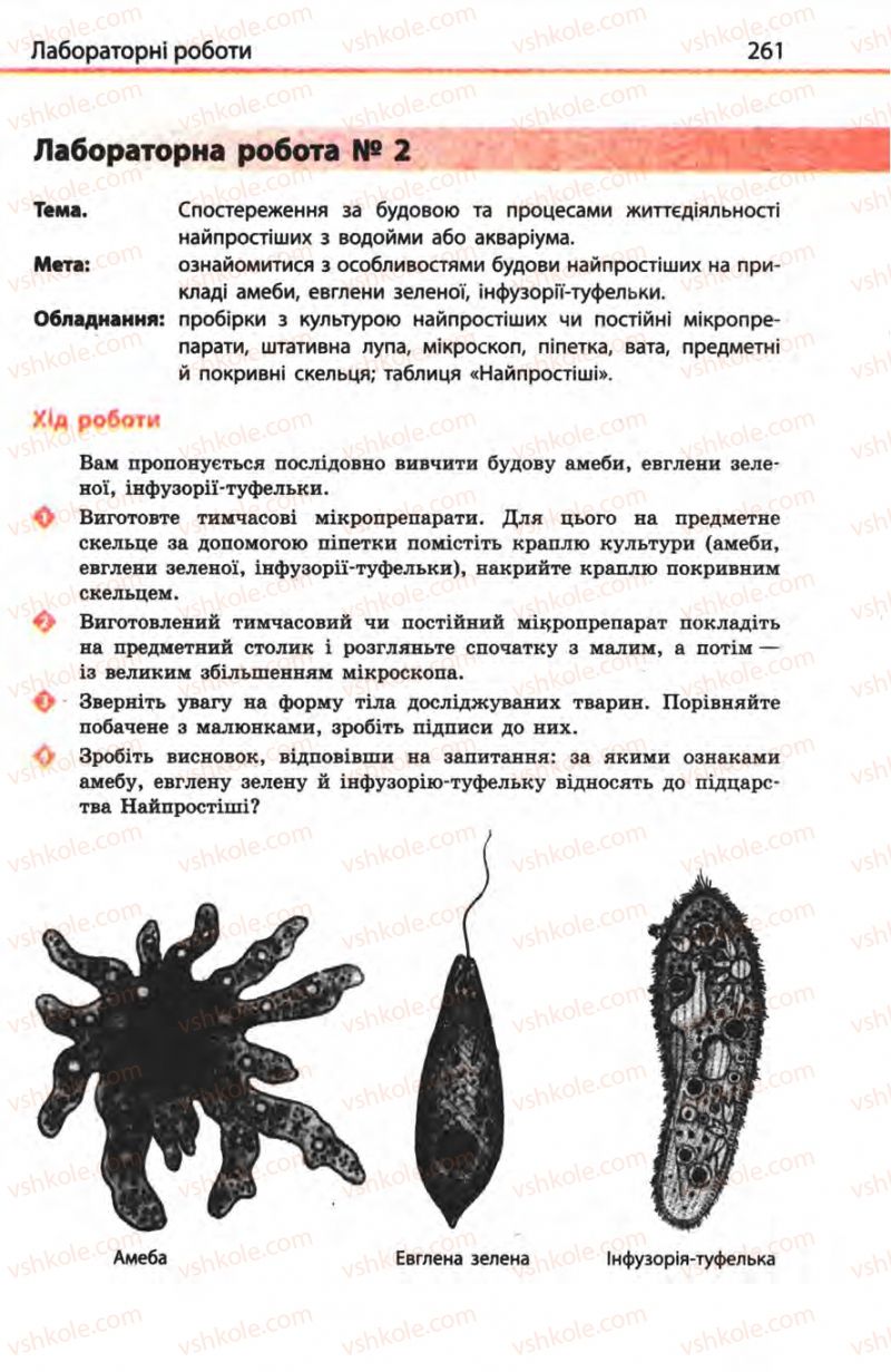 Страница 261 | Підручник Біологія 8 клас Н.В. Запорожець, С.В. Влащенко 2008