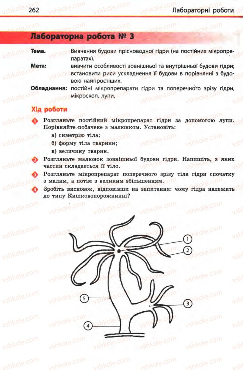 Страница 262 | Підручник Біологія 8 клас Н.В. Запорожець, С.В. Влащенко 2008