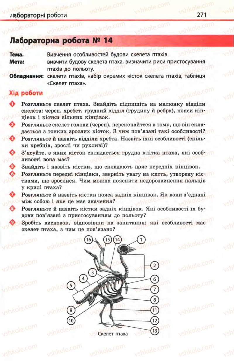 Страница 271 | Підручник Біологія 8 клас Н.В. Запорожець, С.В. Влащенко 2008