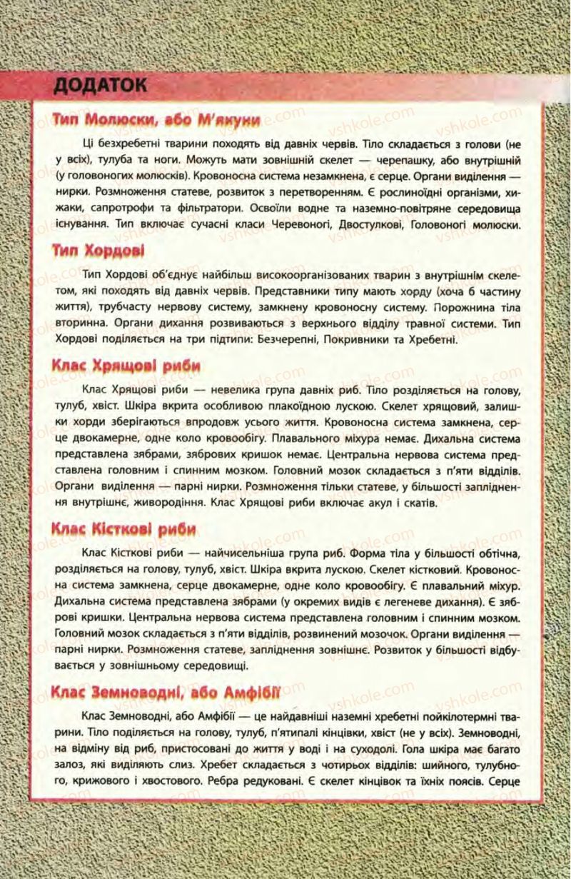 Страница 284 | Підручник Біологія 8 клас Н.В. Запорожець, С.В. Влащенко 2008