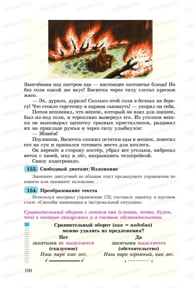 Страница 100 | Підручник Русский язык 8 клас А.Н. Рудяков, Т.Я. Фролова 2008