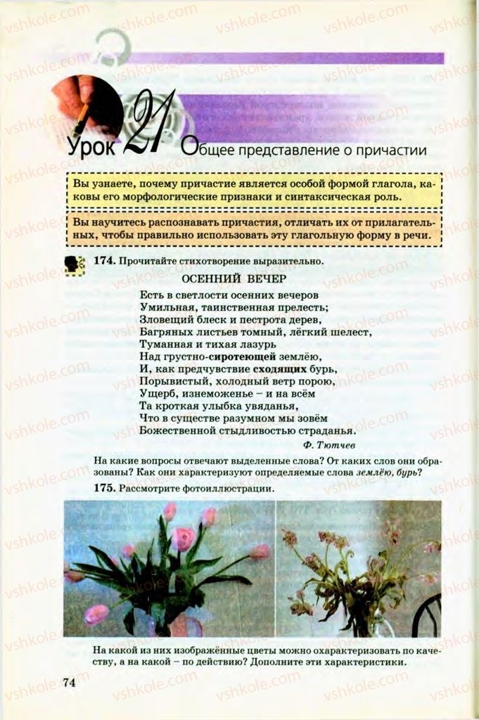 Страница 74 | Підручник Русский язык 8 клас Т.М. Полякова, Е.И. Самонова, В.В. Дьяченко 2008