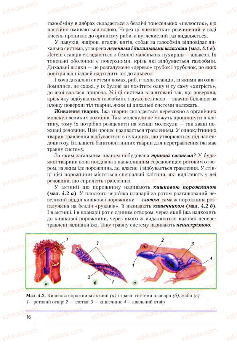 Страница 16 | Підручник Біологія 8 клас Т.І. Базанова, Ю.В. Павіченко, О.Г. Шатровський 2008