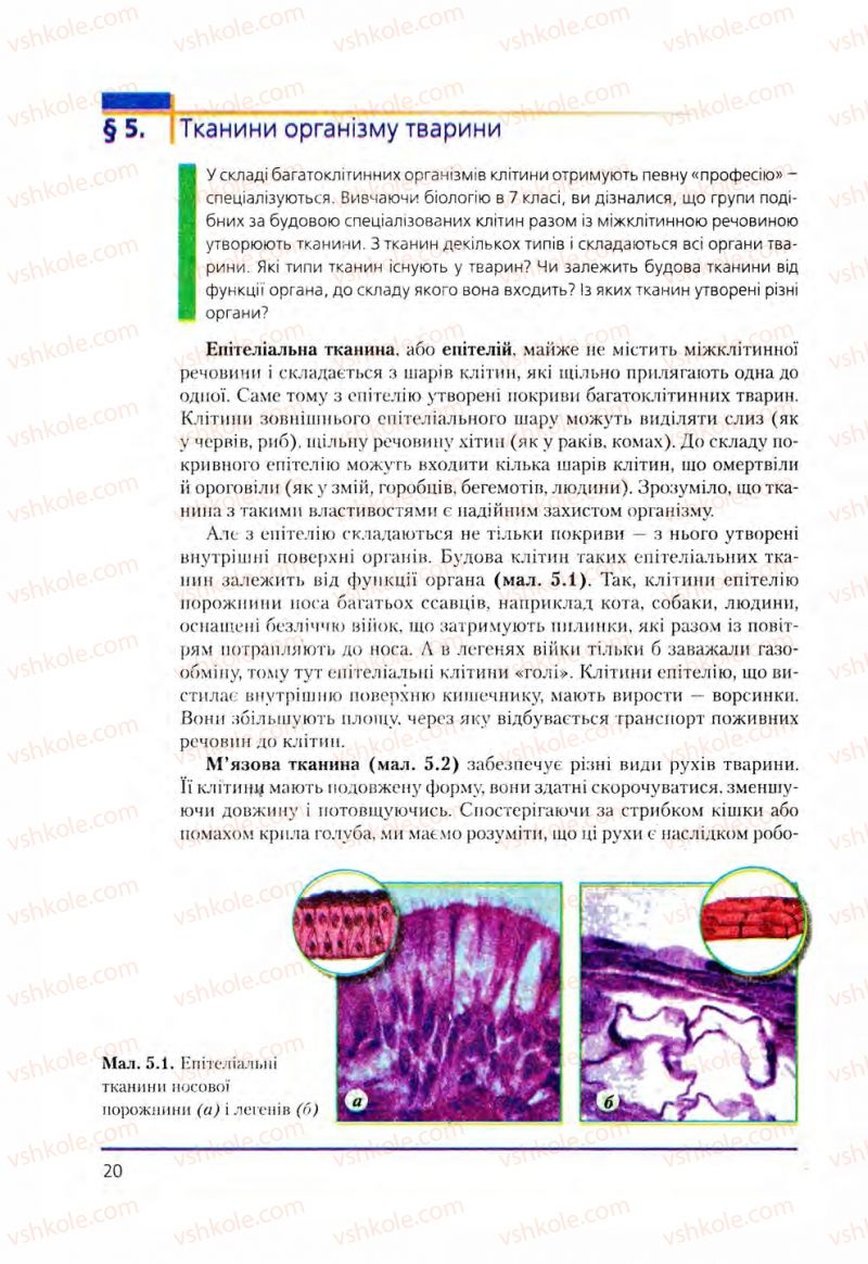Страница 20 | Підручник Біологія 8 клас Т.І. Базанова, Ю.В. Павіченко, О.Г. Шатровський 2008