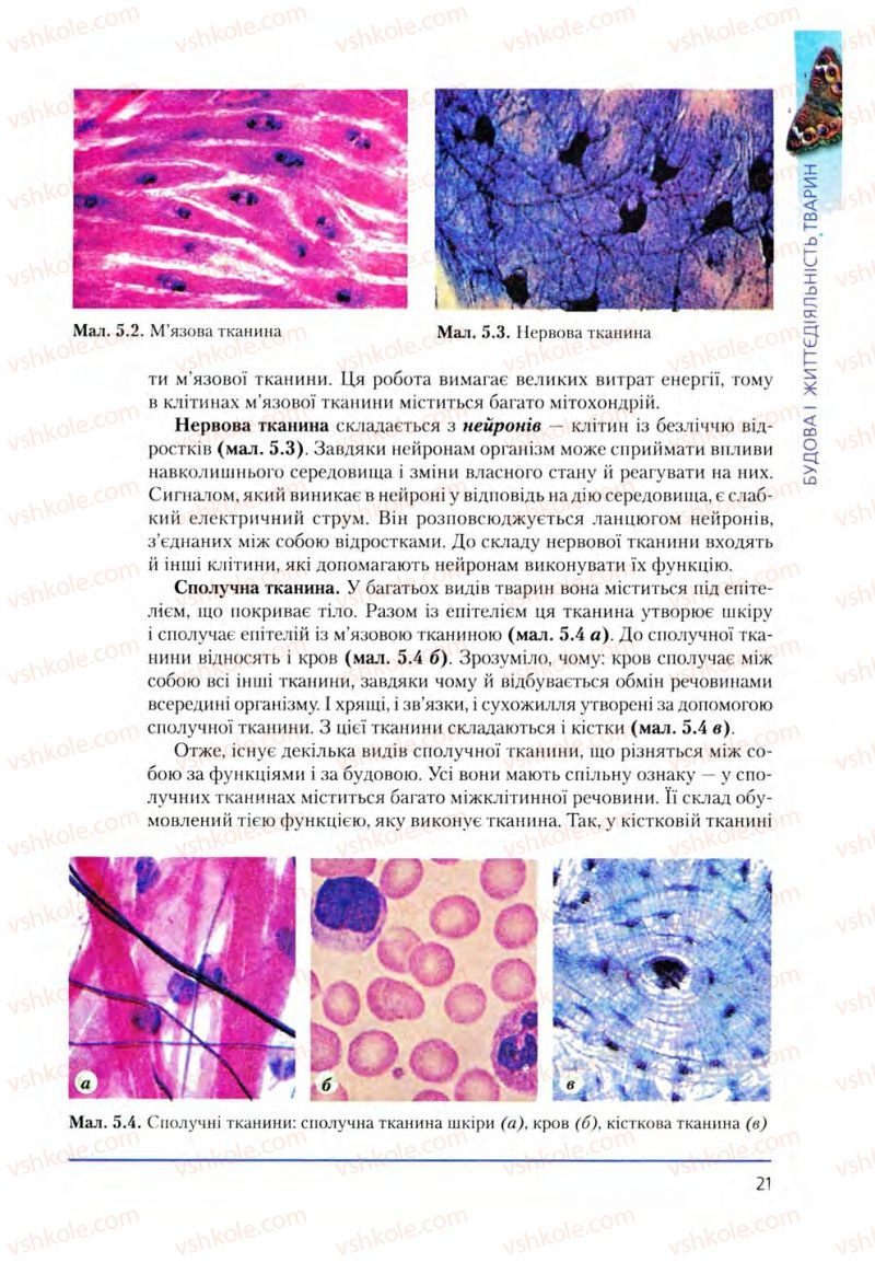 Страница 21 | Підручник Біологія 8 клас Т.І. Базанова, Ю.В. Павіченко, О.Г. Шатровський 2008