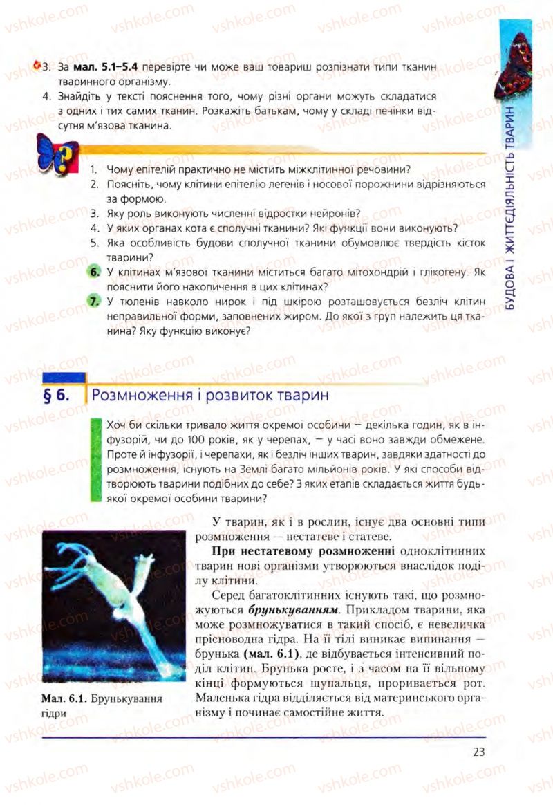 Страница 23 | Підручник Біологія 8 клас Т.І. Базанова, Ю.В. Павіченко, О.Г. Шатровський 2008