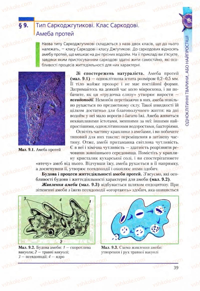 Страница 39 | Підручник Біологія 8 клас Т.І. Базанова, Ю.В. Павіченко, О.Г. Шатровський 2008