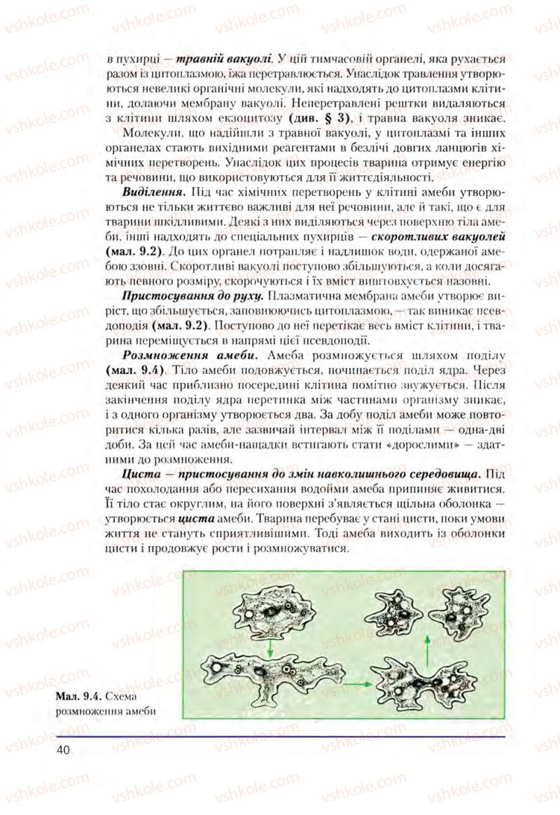 Страница 40 | Підручник Біологія 8 клас Т.І. Базанова, Ю.В. Павіченко, О.Г. Шатровський 2008