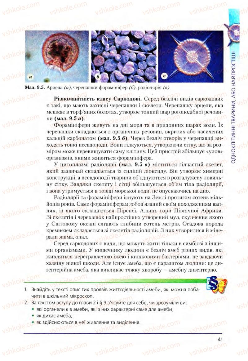 Страница 41 | Підручник Біологія 8 клас Т.І. Базанова, Ю.В. Павіченко, О.Г. Шатровський 2008