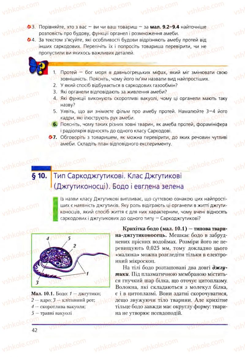 Страница 42 | Підручник Біологія 8 клас Т.І. Базанова, Ю.В. Павіченко, О.Г. Шатровський 2008