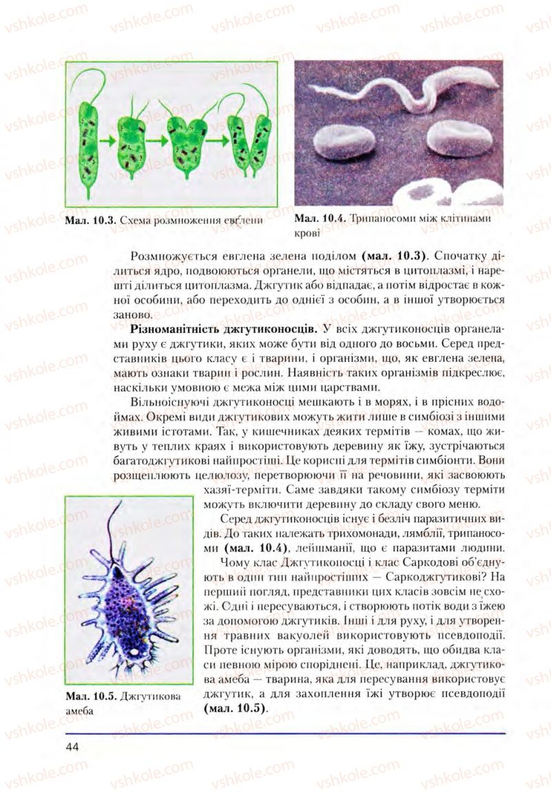 Страница 44 | Підручник Біологія 8 клас Т.І. Базанова, Ю.В. Павіченко, О.Г. Шатровський 2008