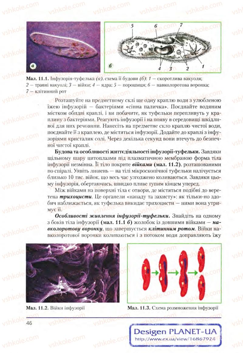 Страница 46 | Підручник Біологія 8 клас Т.І. Базанова, Ю.В. Павіченко, О.Г. Шатровський 2008
