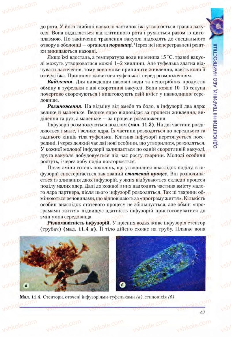 Страница 47 | Підручник Біологія 8 клас Т.І. Базанова, Ю.В. Павіченко, О.Г. Шатровський 2008