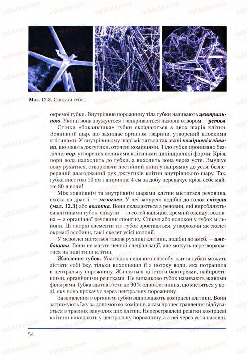 Страница 54 | Підручник Біологія 8 клас Т.І. Базанова, Ю.В. Павіченко, О.Г. Шатровський 2008