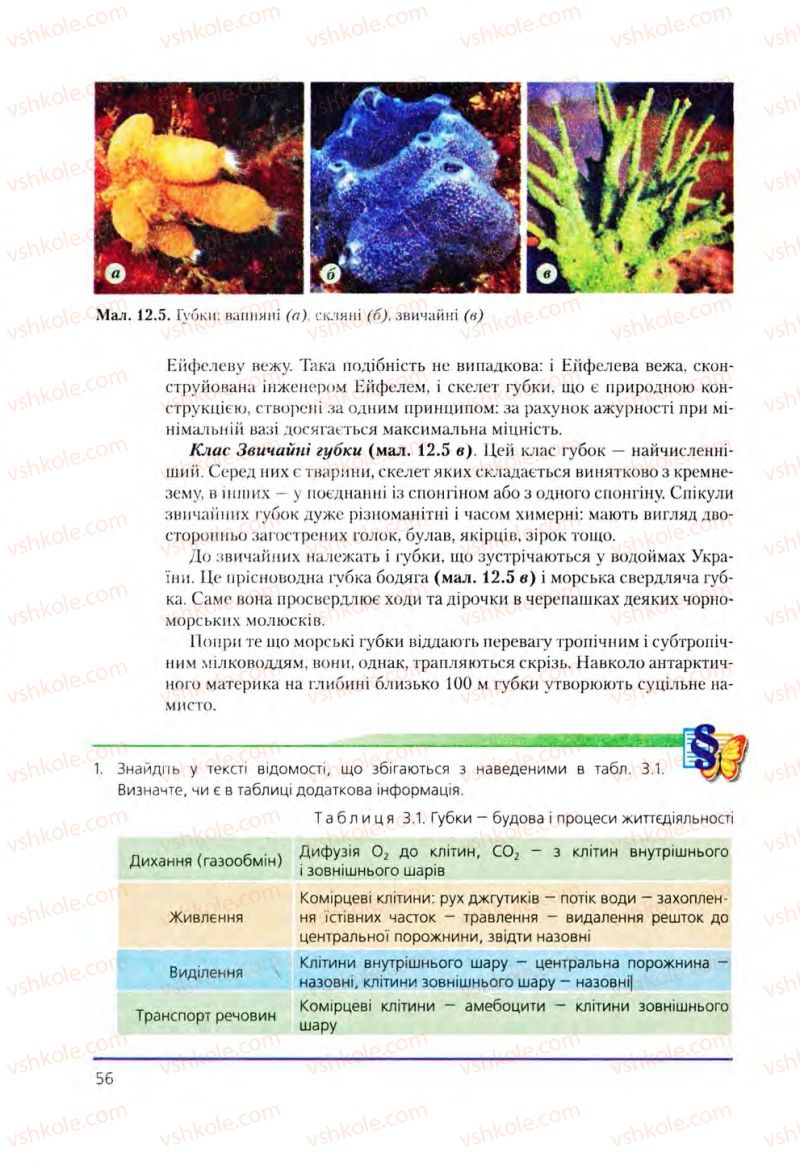 Страница 56 | Підручник Біологія 8 клас Т.І. Базанова, Ю.В. Павіченко, О.Г. Шатровський 2008