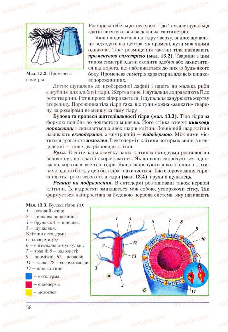 Страница 58 | Підручник Біологія 8 клас Т.І. Базанова, Ю.В. Павіченко, О.Г. Шатровський 2008