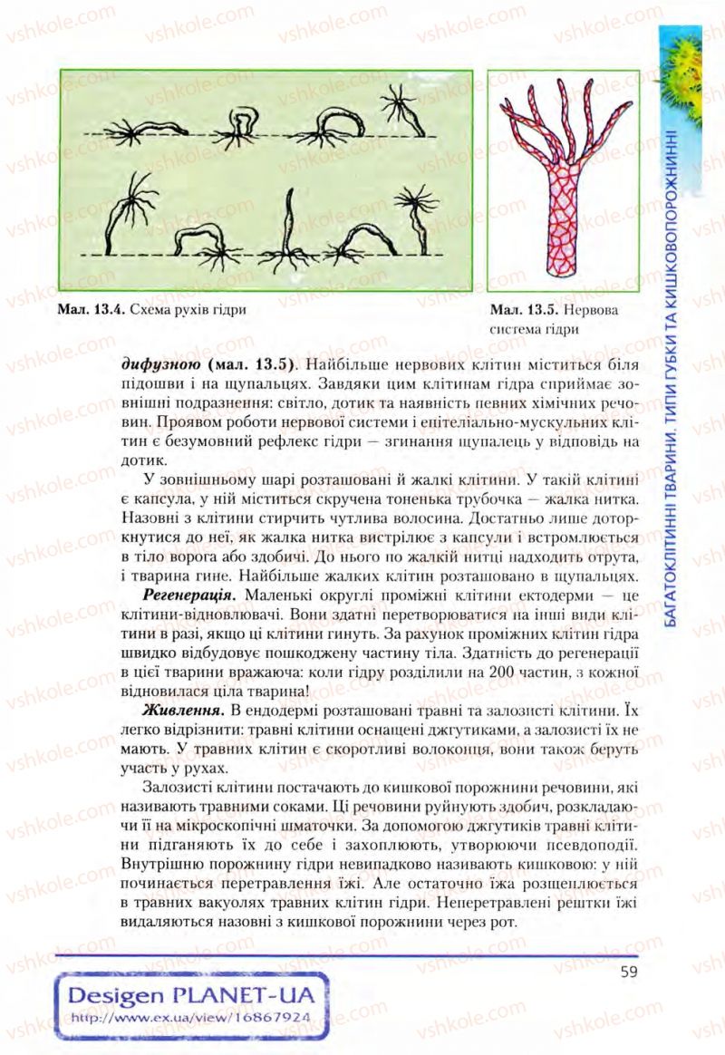 Страница 59 | Підручник Біологія 8 клас Т.І. Базанова, Ю.В. Павіченко, О.Г. Шатровський 2008