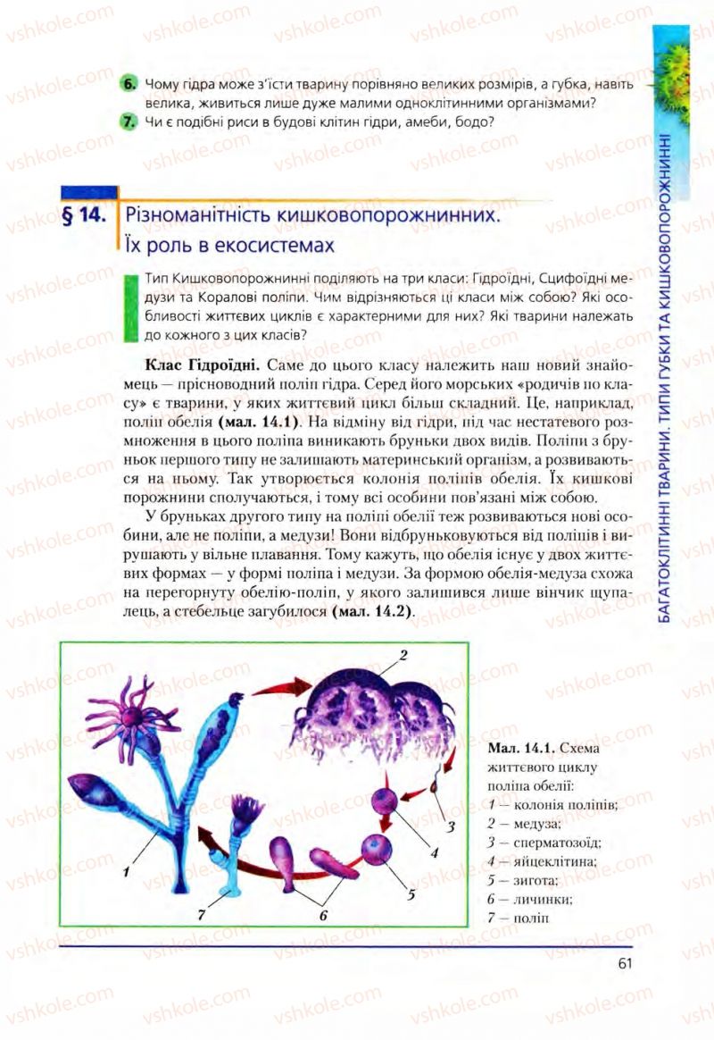 Страница 61 | Підручник Біологія 8 клас Т.І. Базанова, Ю.В. Павіченко, О.Г. Шатровський 2008