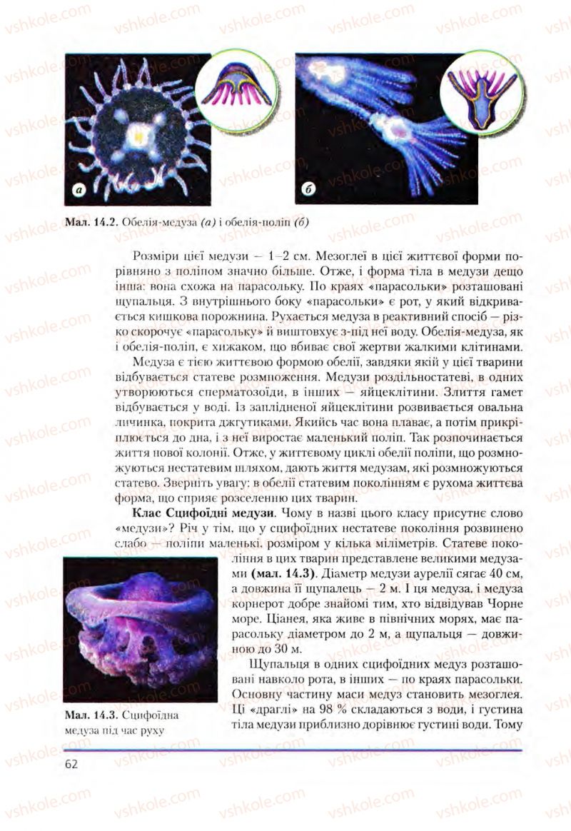 Страница 62 | Підручник Біологія 8 клас Т.І. Базанова, Ю.В. Павіченко, О.Г. Шатровський 2008