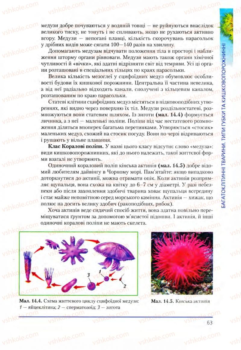 Страница 63 | Підручник Біологія 8 клас Т.І. Базанова, Ю.В. Павіченко, О.Г. Шатровський 2008