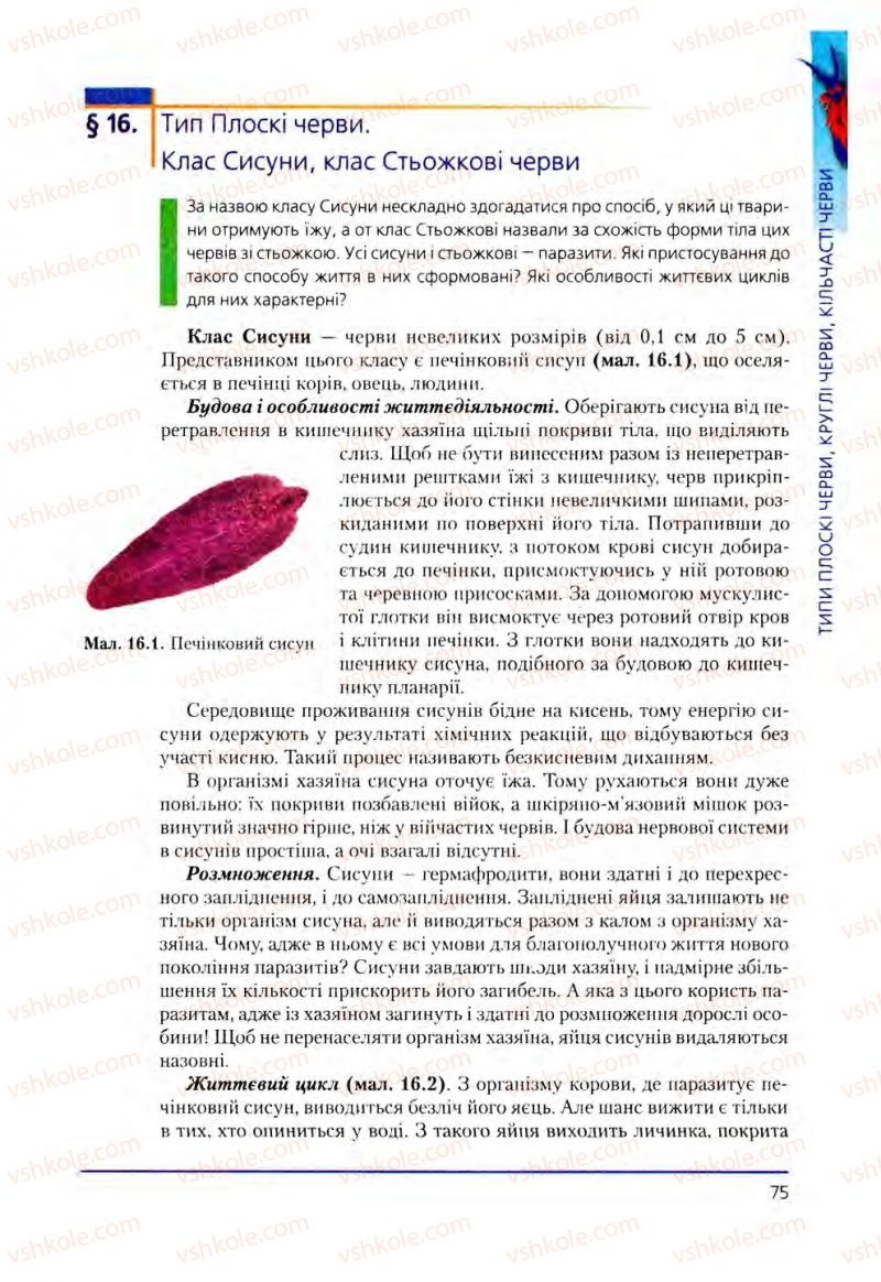 Страница 75 | Підручник Біологія 8 клас Т.І. Базанова, Ю.В. Павіченко, О.Г. Шатровський 2008