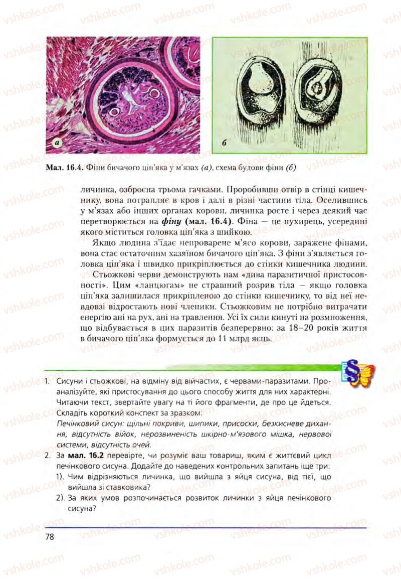 Страница 78 | Підручник Біологія 8 клас Т.І. Базанова, Ю.В. Павіченко, О.Г. Шатровський 2008
