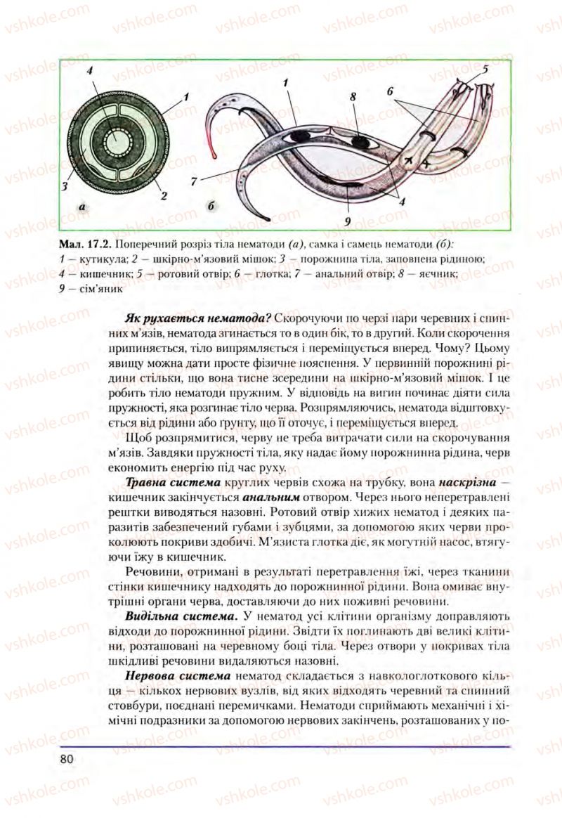 Страница 80 | Підручник Біологія 8 клас Т.І. Базанова, Ю.В. Павіченко, О.Г. Шатровський 2008