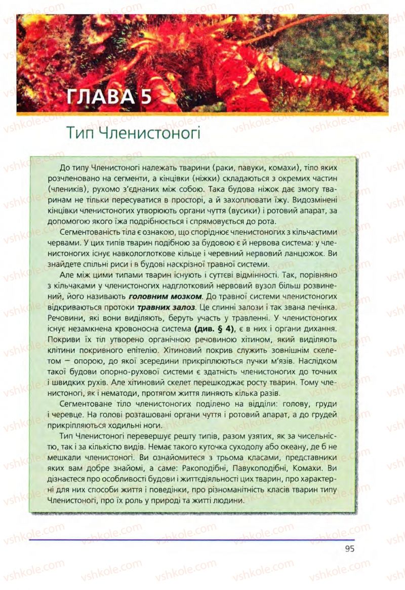 Страница 95 | Підручник Біологія 8 клас Т.І. Базанова, Ю.В. Павіченко, О.Г. Шатровський 2008