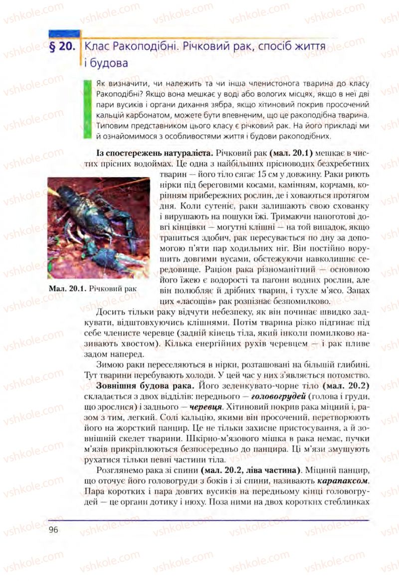 Страница 96 | Підручник Біологія 8 клас Т.І. Базанова, Ю.В. Павіченко, О.Г. Шатровський 2008