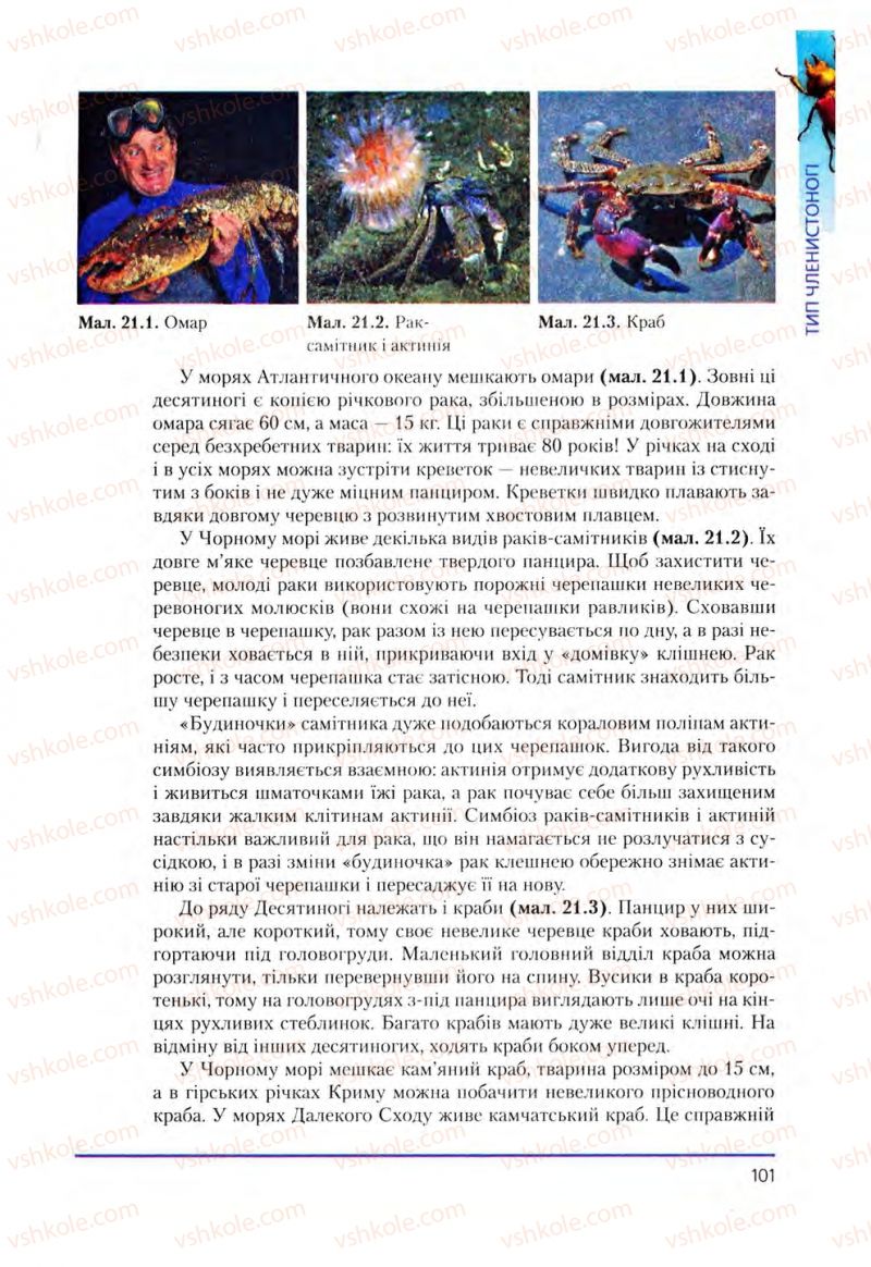 Страница 101 | Підручник Біологія 8 клас Т.І. Базанова, Ю.В. Павіченко, О.Г. Шатровський 2008