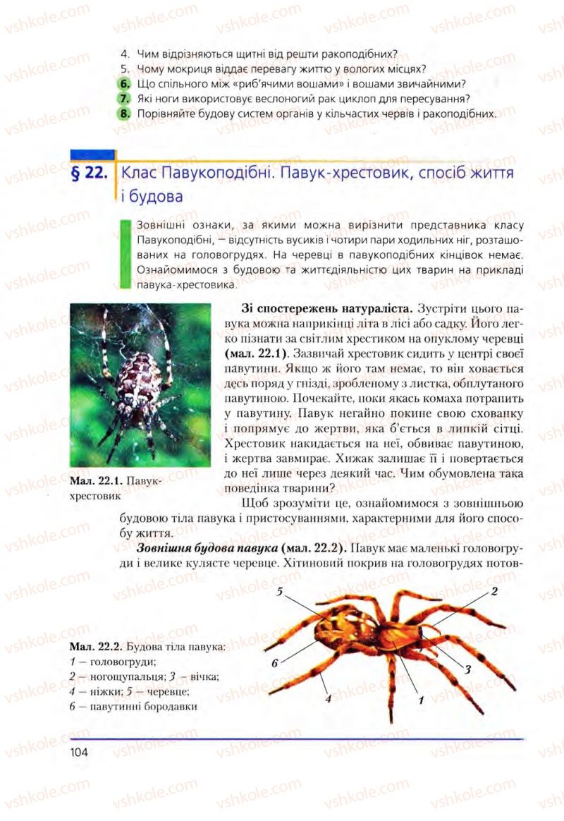 Страница 104 | Підручник Біологія 8 клас Т.І. Базанова, Ю.В. Павіченко, О.Г. Шатровський 2008