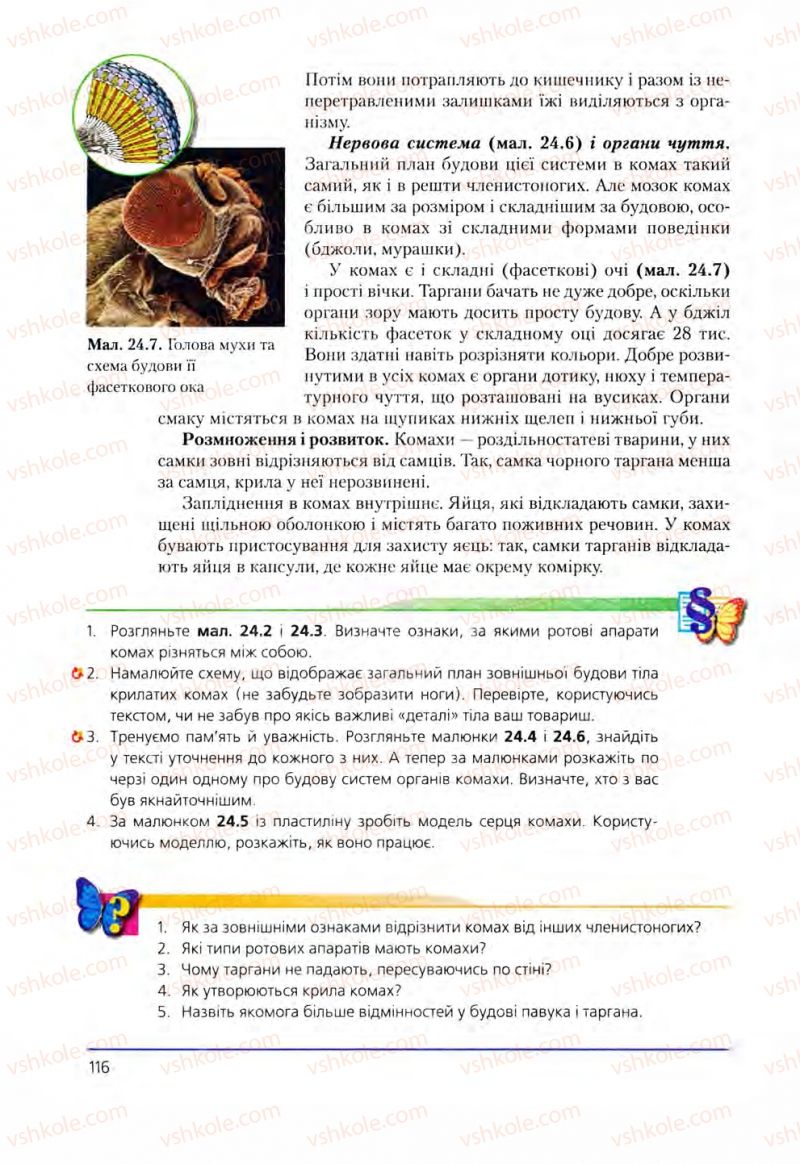 Страница 116 | Підручник Біологія 8 клас Т.І. Базанова, Ю.В. Павіченко, О.Г. Шатровський 2008